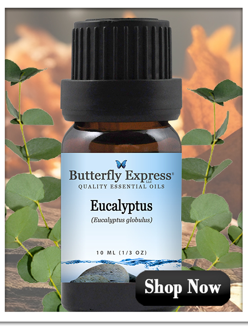 Eucalyptus Globulus Essential Oil Single