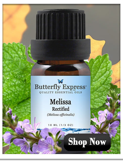 Melissa Rectified Essential Oil Single