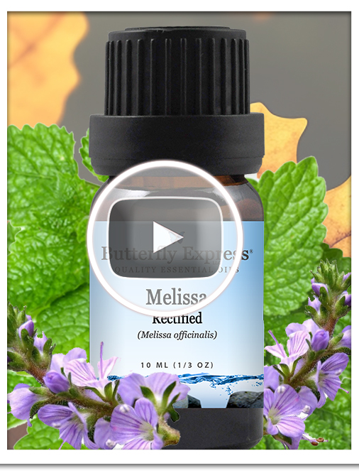 Melissa Rectified Essential Oil Blend