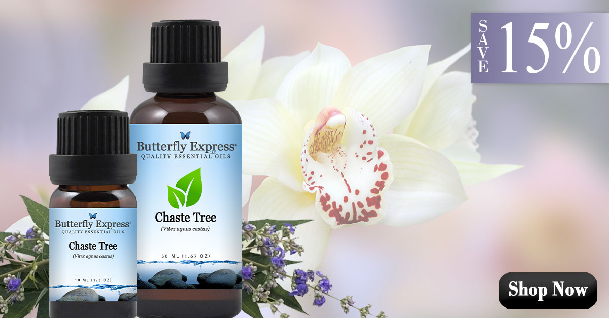 Chaste Tree Essential Oil Single