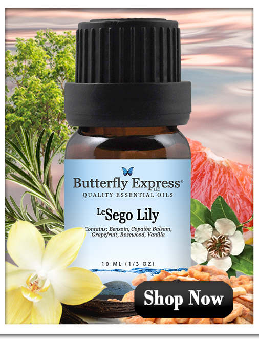 Sego Lily Essential Oil Single