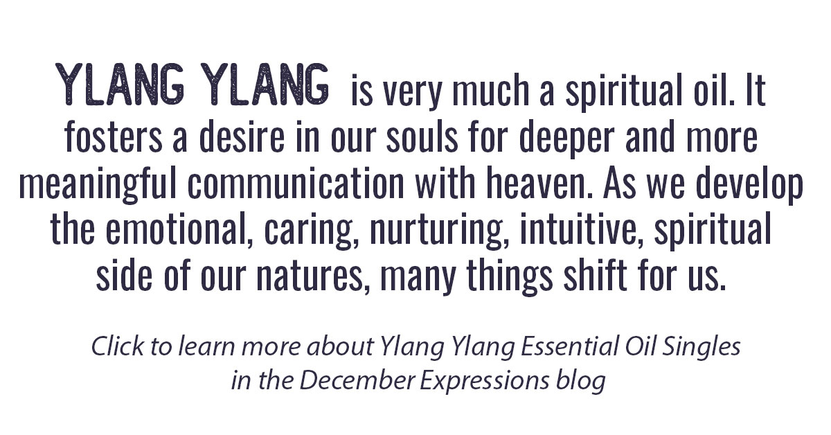 Ylang Essential Oil Singles Info