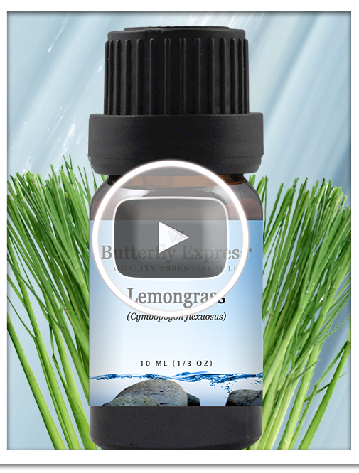 Lemongrass Essential Oil Blend