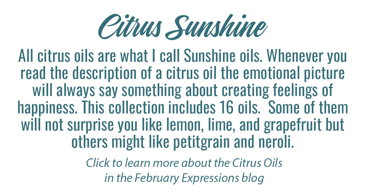 Citrus Sunshine Info