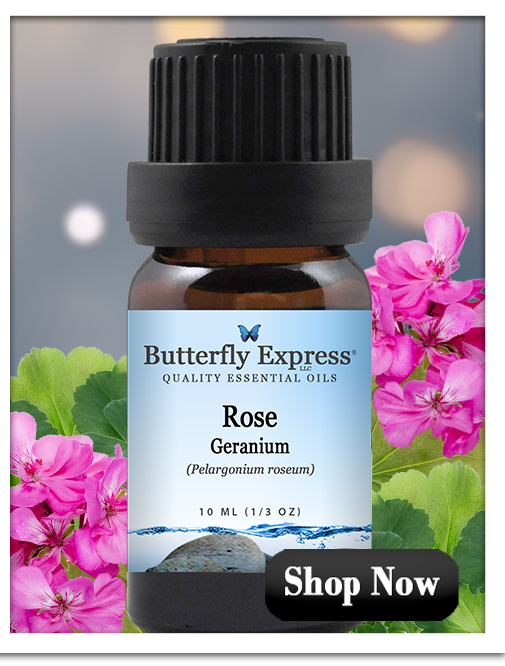 Rose Geranium Essential Oil Single