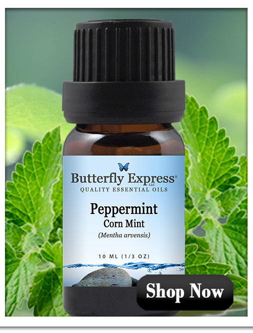 Peppermint Corn Mint Essential Oil Single