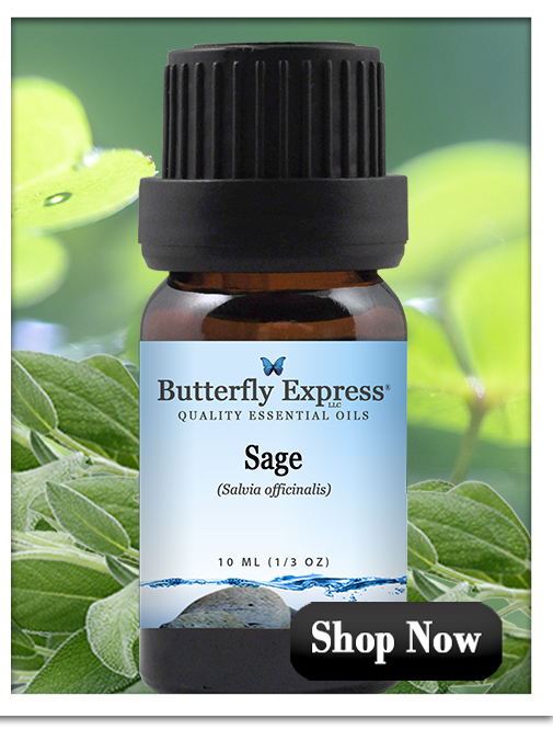 Sage Essential Oil Single