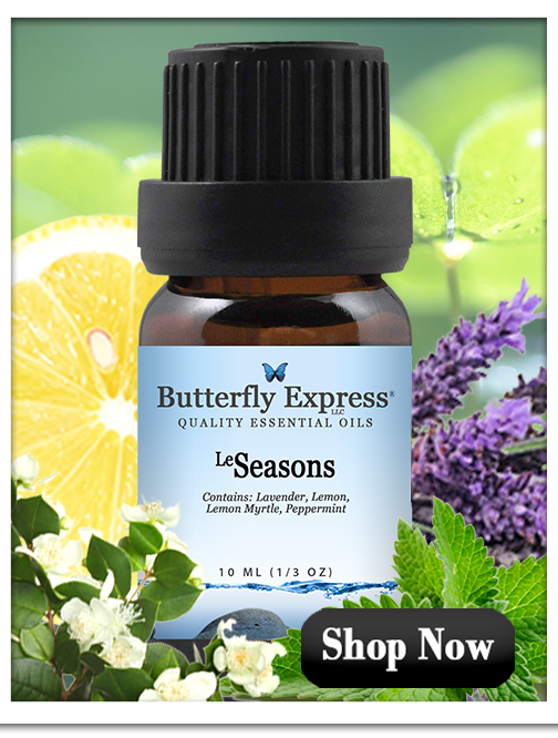 Seasons Essential Oil Blend