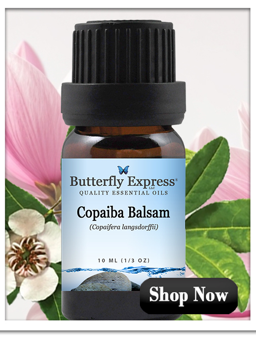 Copaiba Balsam Essential Oil Single