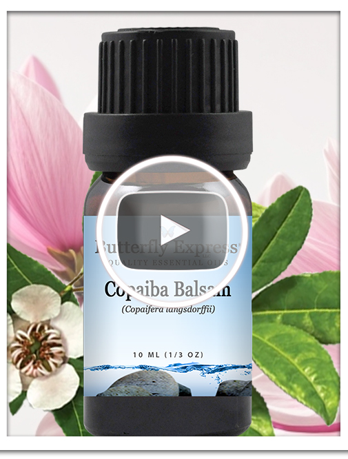 Copaiba Balsam Essential Oil Single