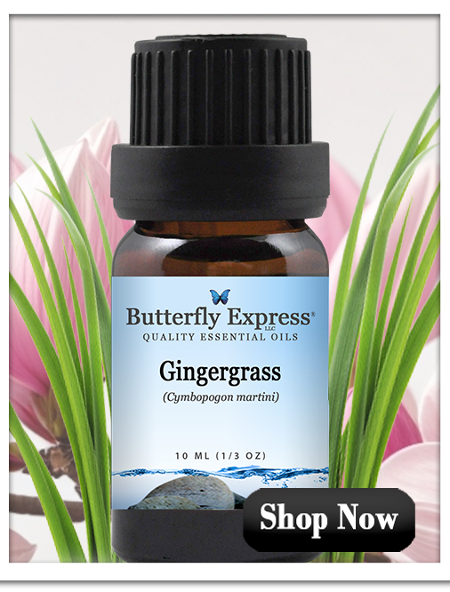 Gingergrass Essential Oil Single