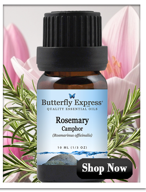 Rosemary Camphor Essential Oil Single