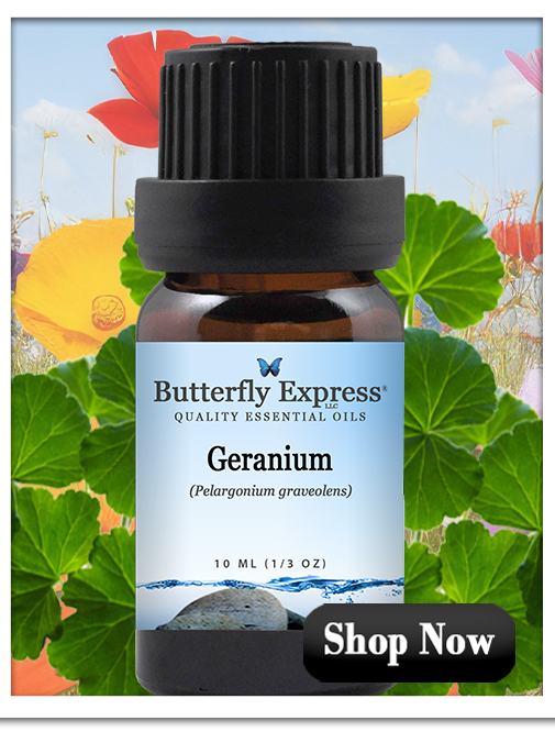 Geranium Essential Oil Single