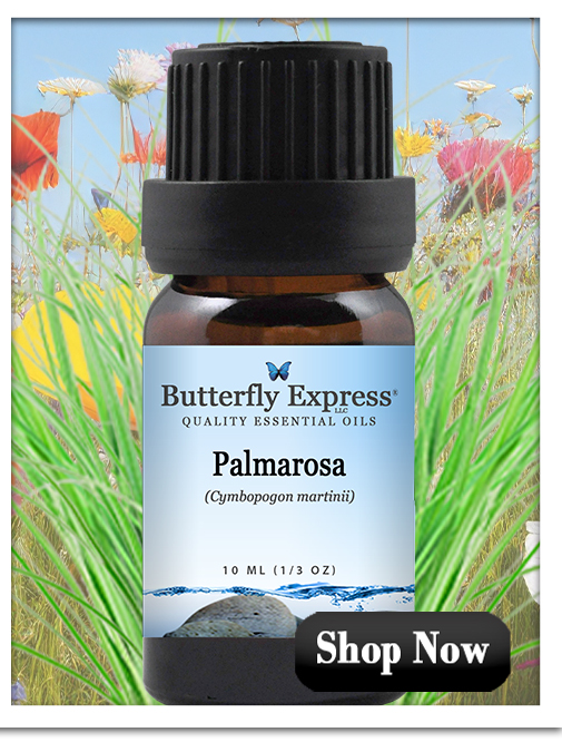 Palmarosa Essential Oil Single