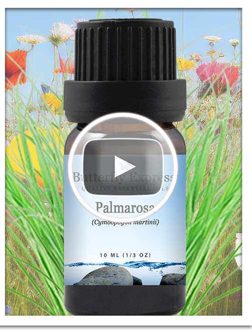 Palmarosa Essential Oil Blend
