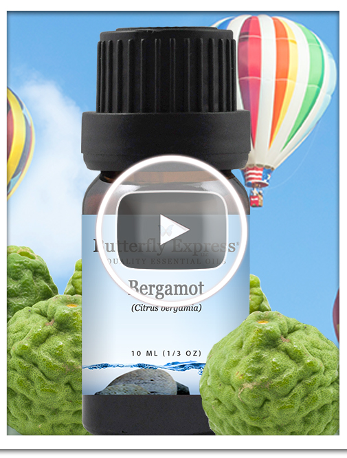 Bergamot Essential Oil Single