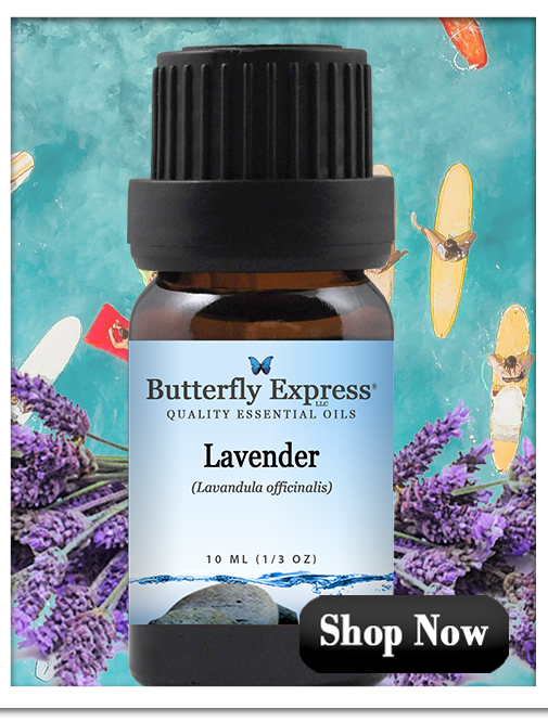 Lavender Essential Oil Single