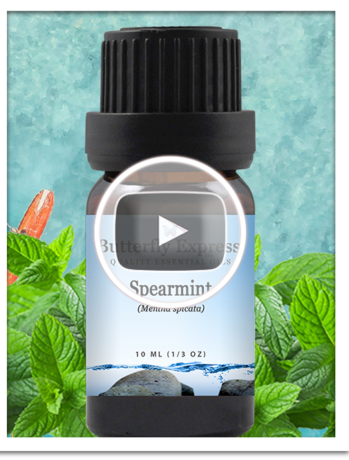 Spearmint Essential Oil Blend