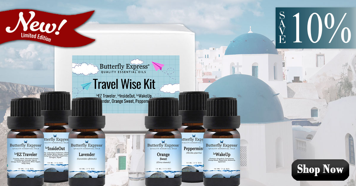 New Travel Wise Kit