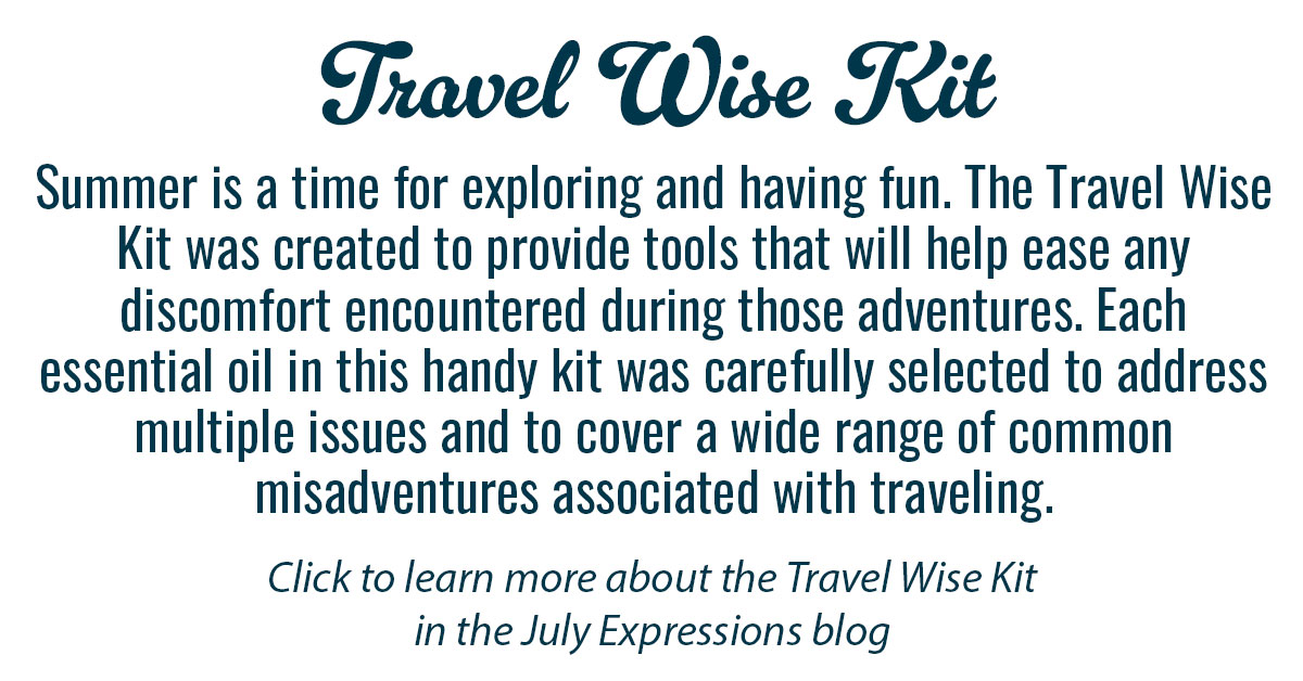 New Travel Wise Kit Info