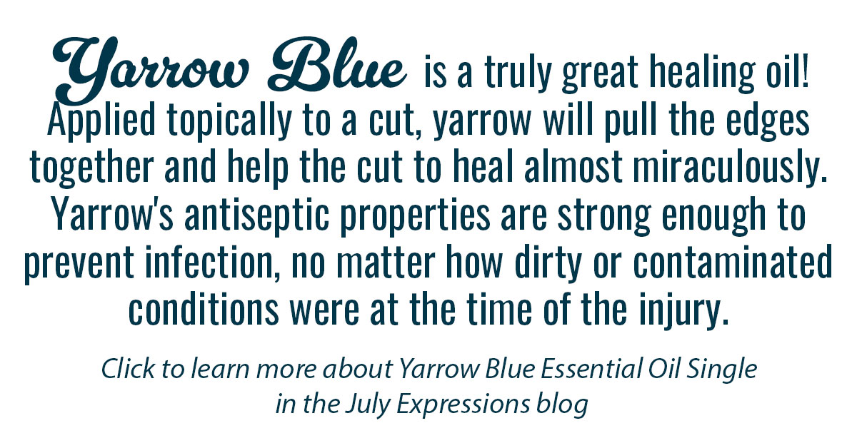 Yarrow Blue Essential Oil Single Info