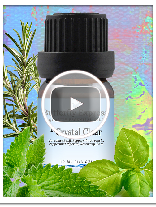 Crystal Clear Essential Oil Blend