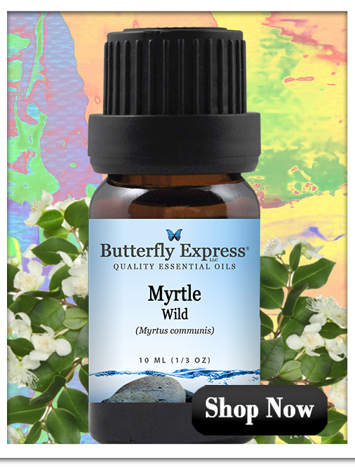 Myrtle Wild Essential Oil Single