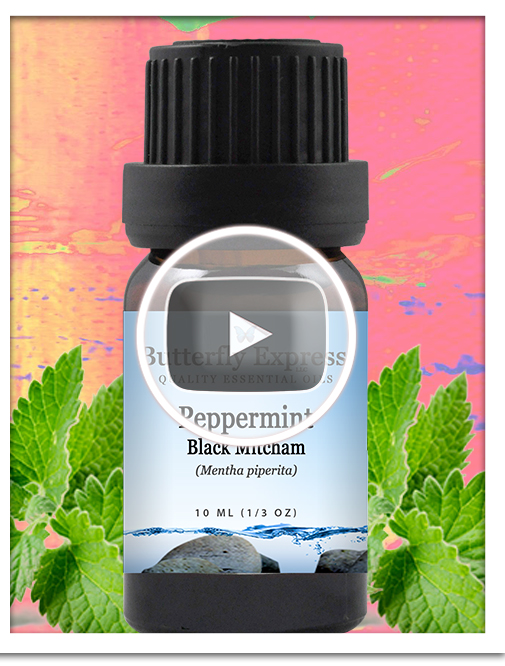 Peppermint Black Mitcham Essential Oil Blend