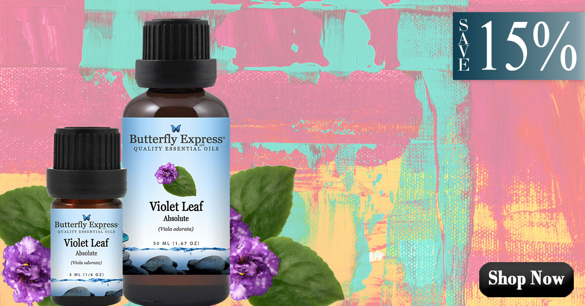 Violet Leaf Essential Oil Single