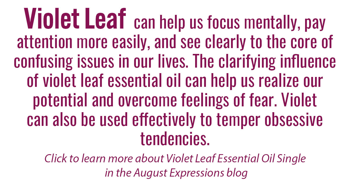 VioletLeaf Essential Oil Single Info