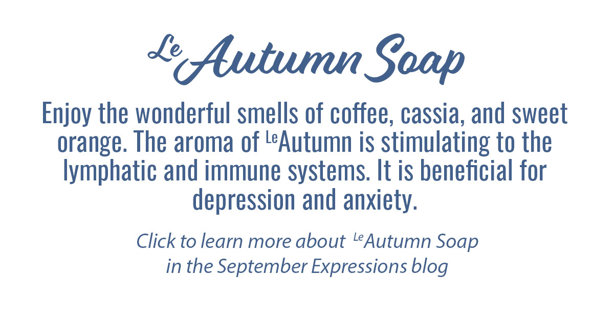 New Autumn Soap Info