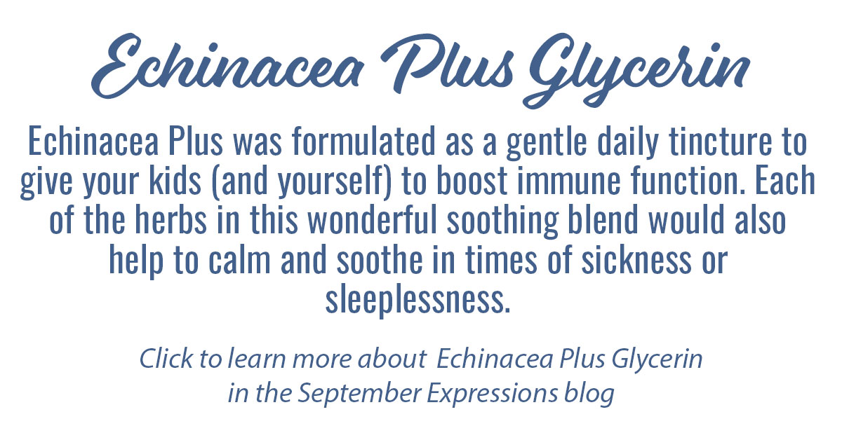 Echinacea Plus Info