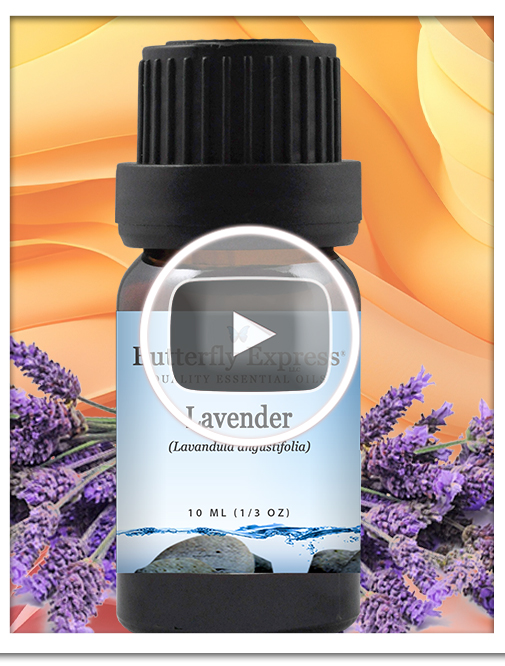 Lavender Angustifolia Essential Oil Single