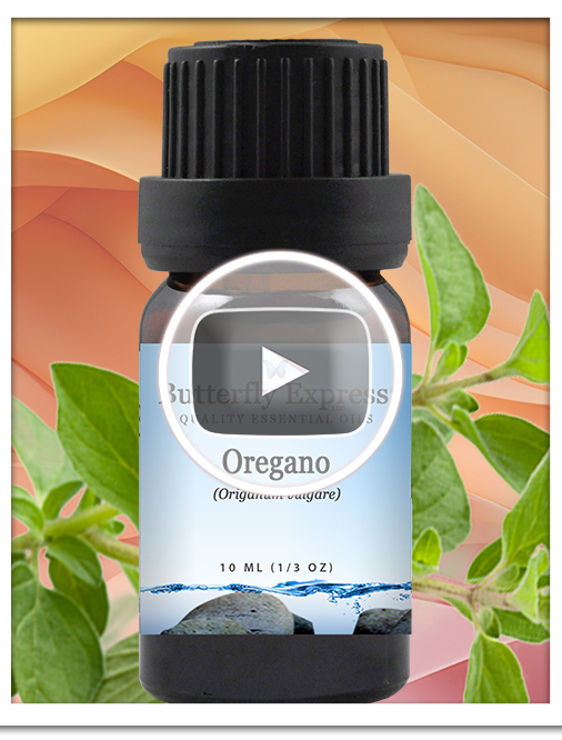 Oregano Essential Oil Single