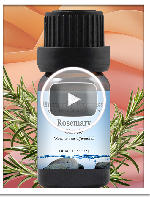 Rosemary Cineole Essential Oil Blend