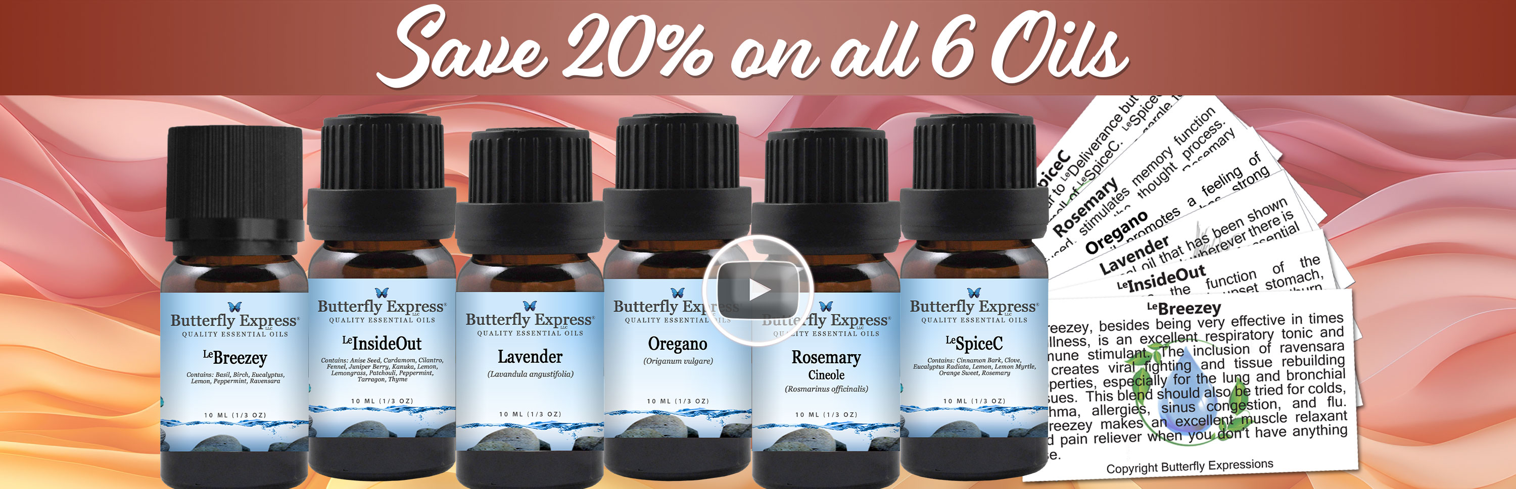 6 Oil Monthly Special