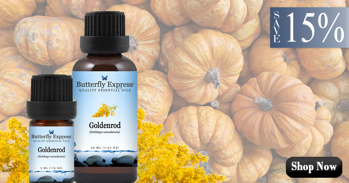 Goldenrod Essential Oil Single