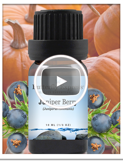 Juniper Berry Essential Oil Single