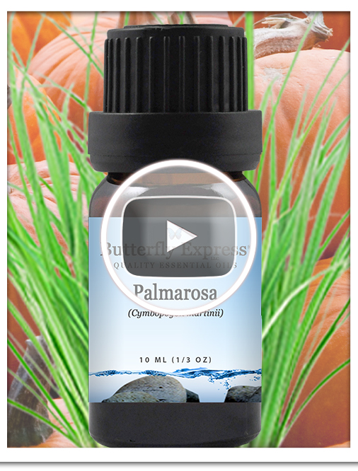 Palmarosa Essential Oil Single