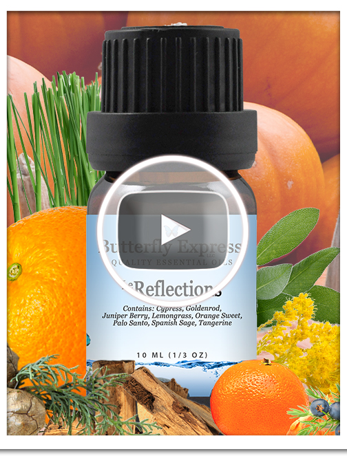 Reflections Essential Oil Blend