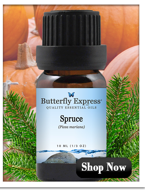 Spruce Essential Oil Single