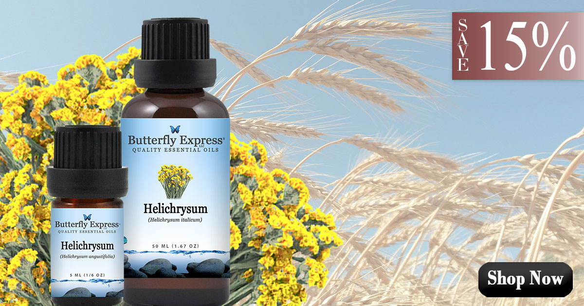 Helichrysum Essential Oil Singles