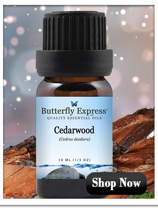 Cedarwood Essential Oil Single