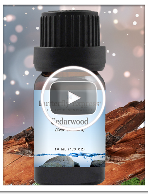 Cedarwood Essential Oil Single