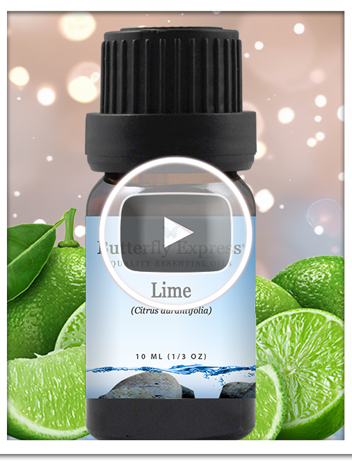 Lime Essential Oil Single