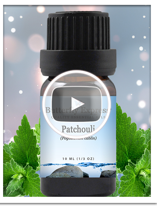 Patchouli Essential Oil Single