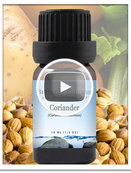 Coriander Essential Oil Single