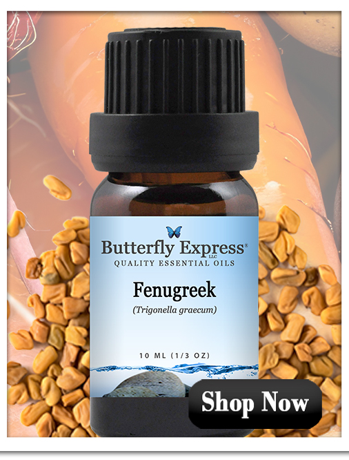 Fenugreek Essential Oil Single