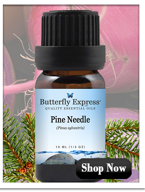 Pine Needle Essential Oil Single