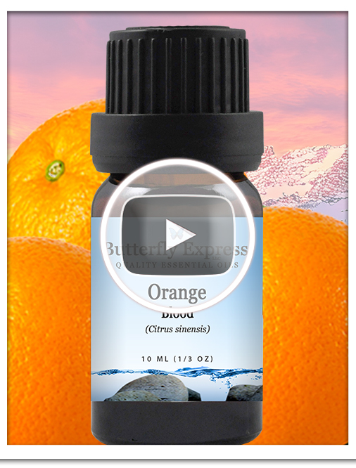 Orange Blood Essential Oil Single